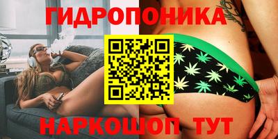 марихуана Кингисепп